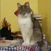 Отзыв от Пелагея Тимофеева